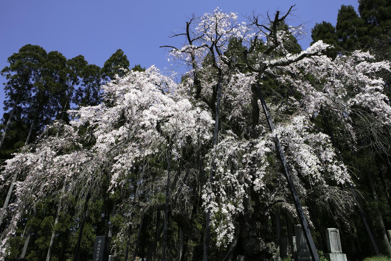 高山 蕨野日式旅馆酒店 外观 照片