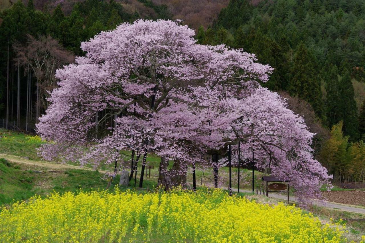 高山 蕨野日式旅馆酒店 外观 照片